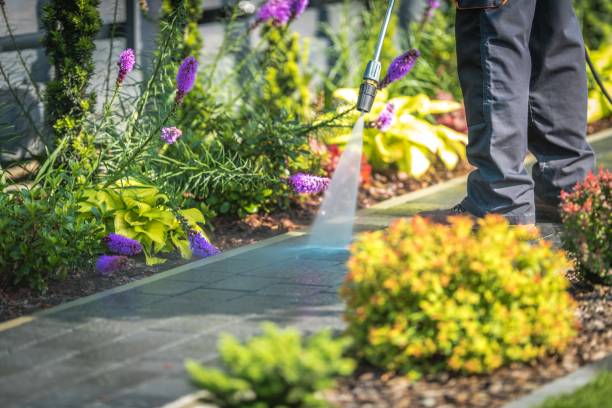 Best Pool Deck Cleaning  in Richland, WA